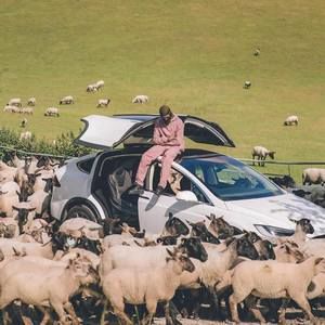 Meet your Posher, Sidney